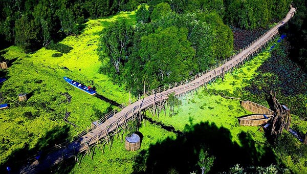 Tra Su bamboo bridge - longest bamboo bridge of the world